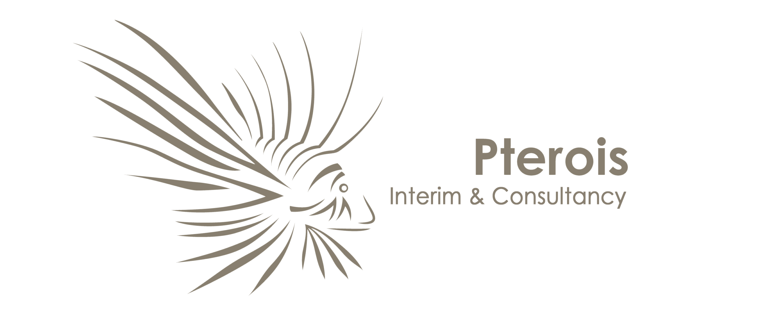 Pterois Interim & Consultancy